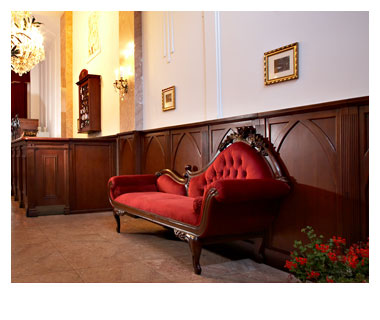 Image Caption