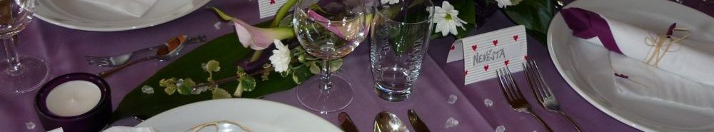 Ubytování Roudnice nad Labem, Straškov-Vodochody, restaurace, hotel, wellness | Hotel Amálka
