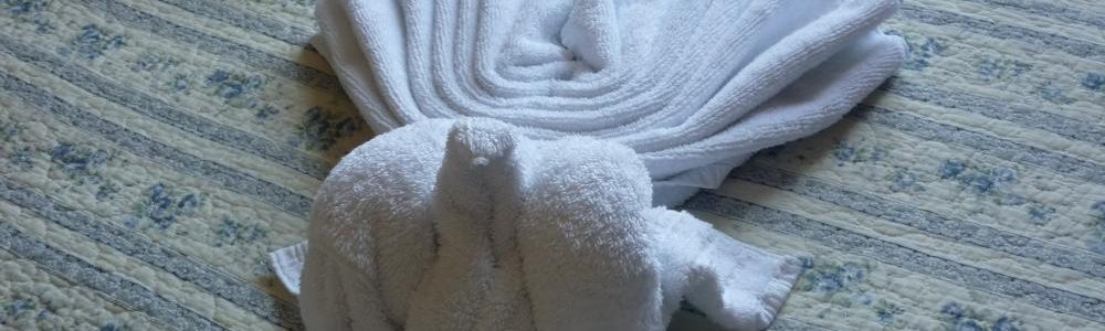 Alloggi Roudnice nad Labem, ristorante, hotel, wellness | Hotel Amálka