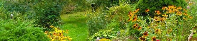 Seeberg - amazing nature - Seeberg accommodation Frantiskovy Lazne