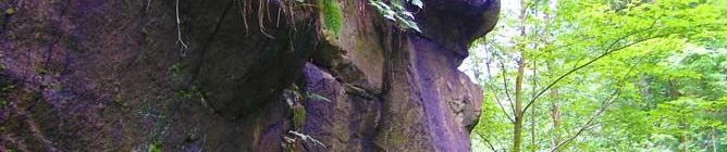 Seeberg - amazing nature - Seeberg accommodation Frantiskovy Lazne