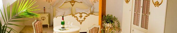Hotel Seeberg - Františkovy Spa accommodation - double room superior - Seeberg accommodation Frantiskovy Lazne