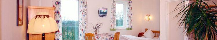 Hotel Seeberg - Františkovy Spa accommodation - double room with balcony - Seeberg accommodation Frantiskovy Lazne