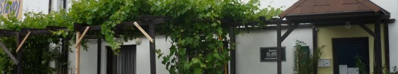 Accommodation Zbraslav Prague - Hotel SLAVOJ