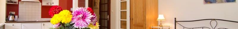 apartmán Studio - Karlovy Vary Appartamenti - Villa Liberty
