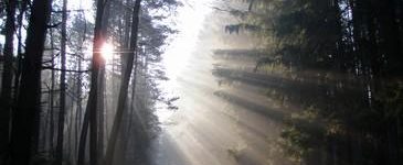 Jarní paprsky slunce - Ubytování Lipnice nad Sázavou - Penzion Chalupa Blatov - Ubytování Vysočina - Penzion Vysočina