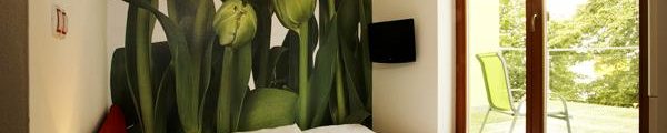 Jednolůžkový pokoj/dvoulůžkový mini s terasou a výhledem na třeboňské louky - Ubytování Třeboň - Design hotel RomantiCK