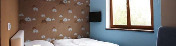 Jednolůžkový pokoj/dvoulůžkový mini Chrpa - Ubytování Třeboň - Design hotel RomantiCK