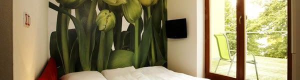 Jednolůžkový pokoj/dvoulůžkový mini s terasou a výhledem na třeboňské louky - Ubytování Třeboň - Design hotel RomantiCK