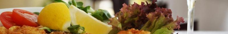 Accommodation Trebon - Design hotel RomantiCK