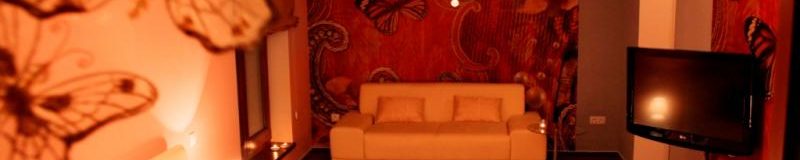 Superior Hortensie - Ubytování Třeboň - Design hotel RomantiCK