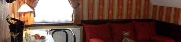 HOTEL BERG – ubytování v romantickém hotelu na břehu Máchova jezera