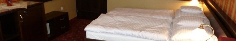 HOTEL BERG – ubytování v romantickém hotelu na břehu Máchova jezera