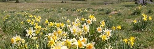 Jizerka, achter de hora Bukovec - Penzion Uko - Bedrichov in IJzergebergte