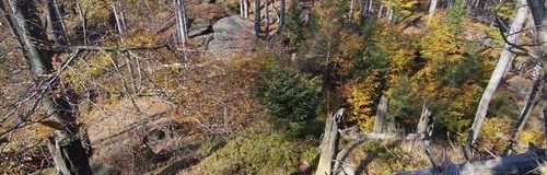 Buchenwälder auf Poledník - Penzion Uko - Bedrichov im Isergebirge
