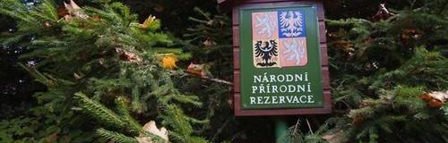 Naturschutzgebiet - Penzion Uko - Bedrichov im Isergebirge