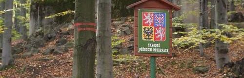 Naturschutzgebiet - Penzion Uko - Bedrichov im Isergebirge