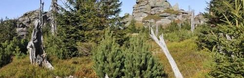 Reuzengebergte - Jizera - Penzion Uko - Bedrichov in IJzergebergte