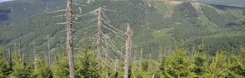 Isergebirge - Penzion Uko - Bedrichov im Isergebirge
