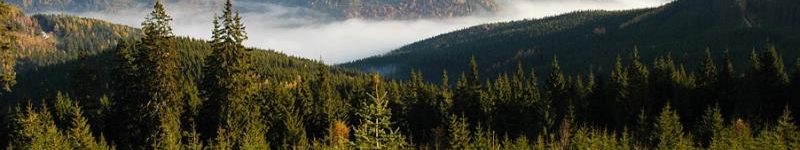 Panorama Krkonoš - Horský penzion Černava