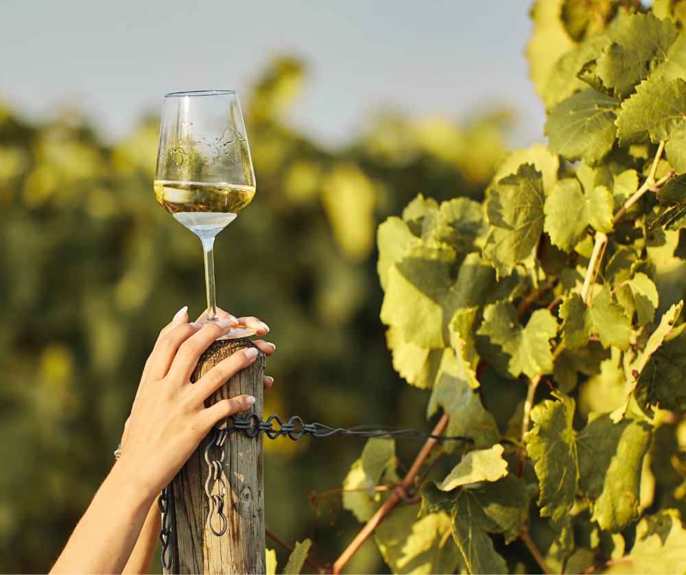 Spring wellness with a touch of wine - WEEKEND 