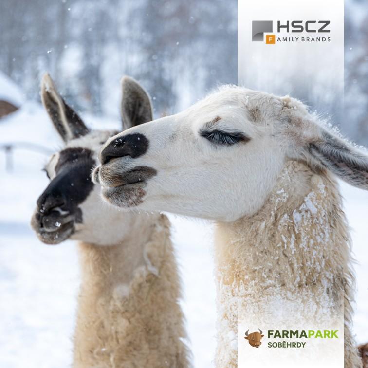 Rodinný pobyt s Farmaparkem Soběhrdy (děti ZDARMA - podzim 2025, zima 2026) - 3 dny / 2 noci