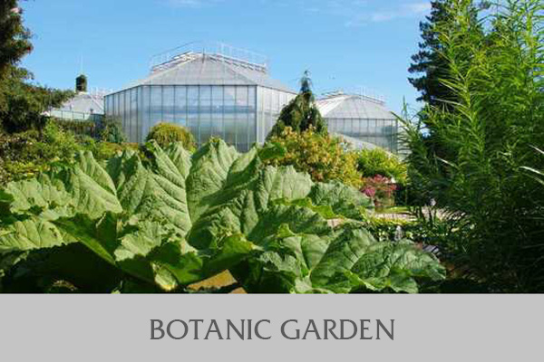 BOTANISCHER GARTEN