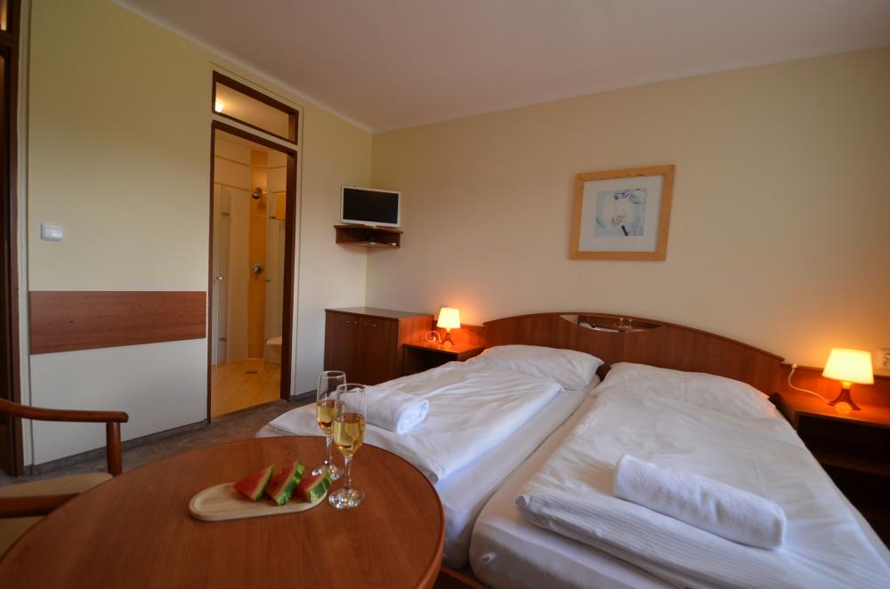 Dvoulůžkový pokoj s výhledem na hory