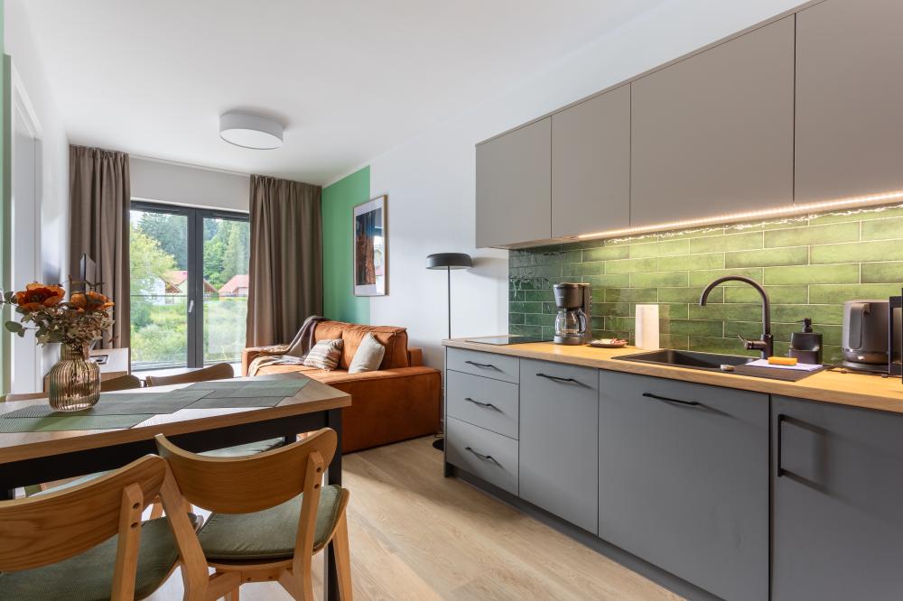 Apartament Szklarska Poręba Belle View 229