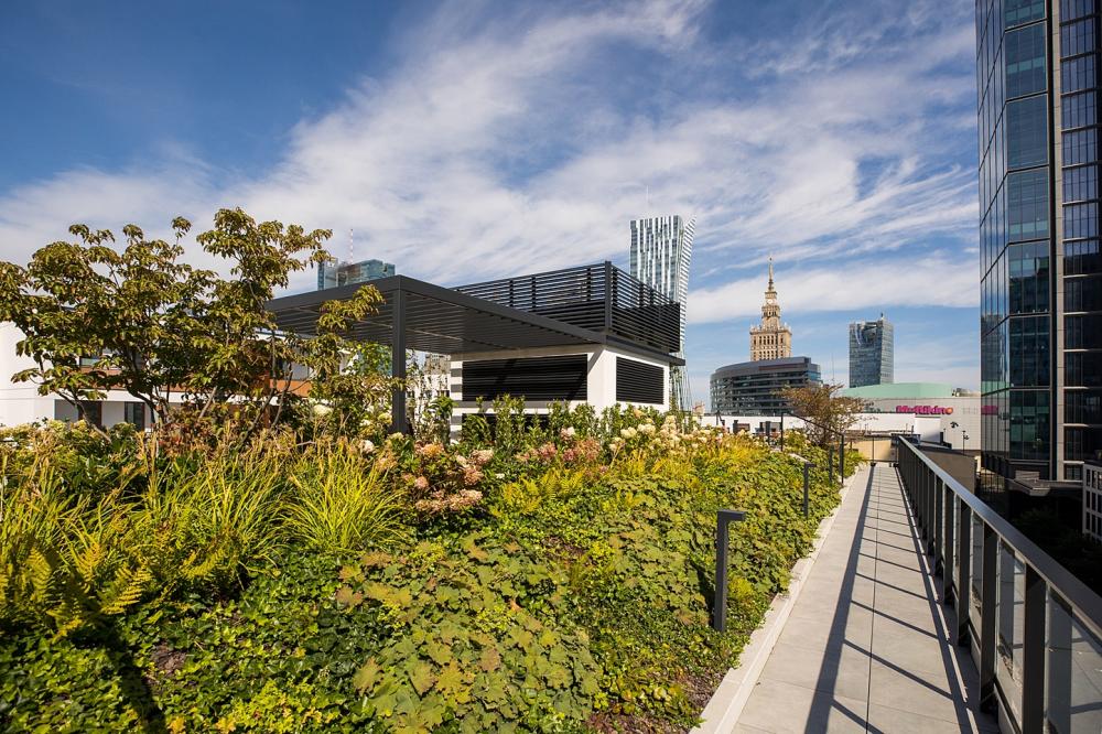 Apartament Warszawa Chmielna 81