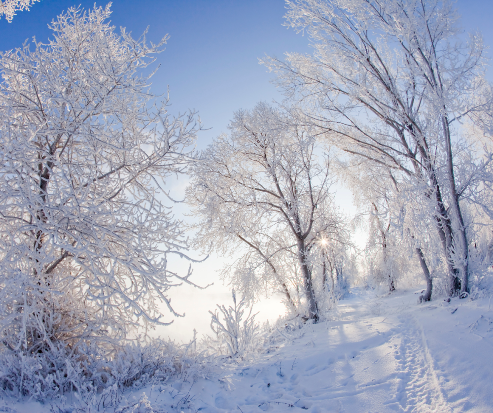 JISKŘIVÁ ZIMA na Orlíku – neomezený wellness a klid
