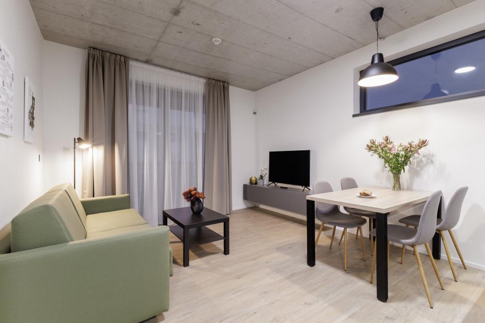 Jednolůžkový apartmán s rozkládací pohovkou