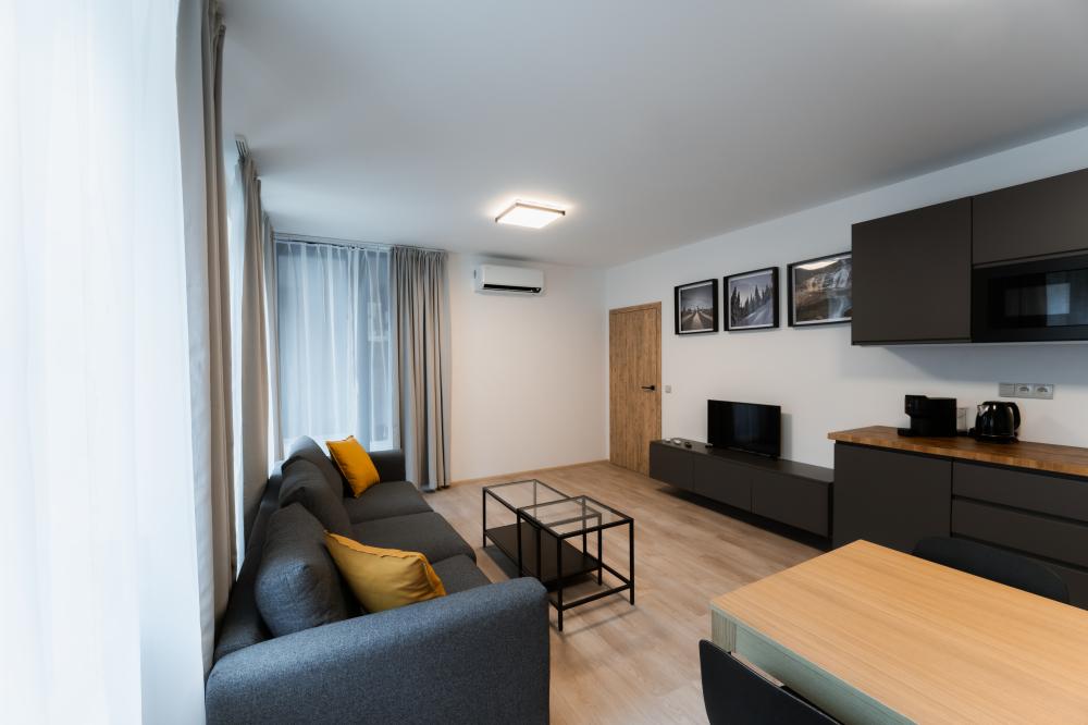 Apartment 2+kitchenette (207)