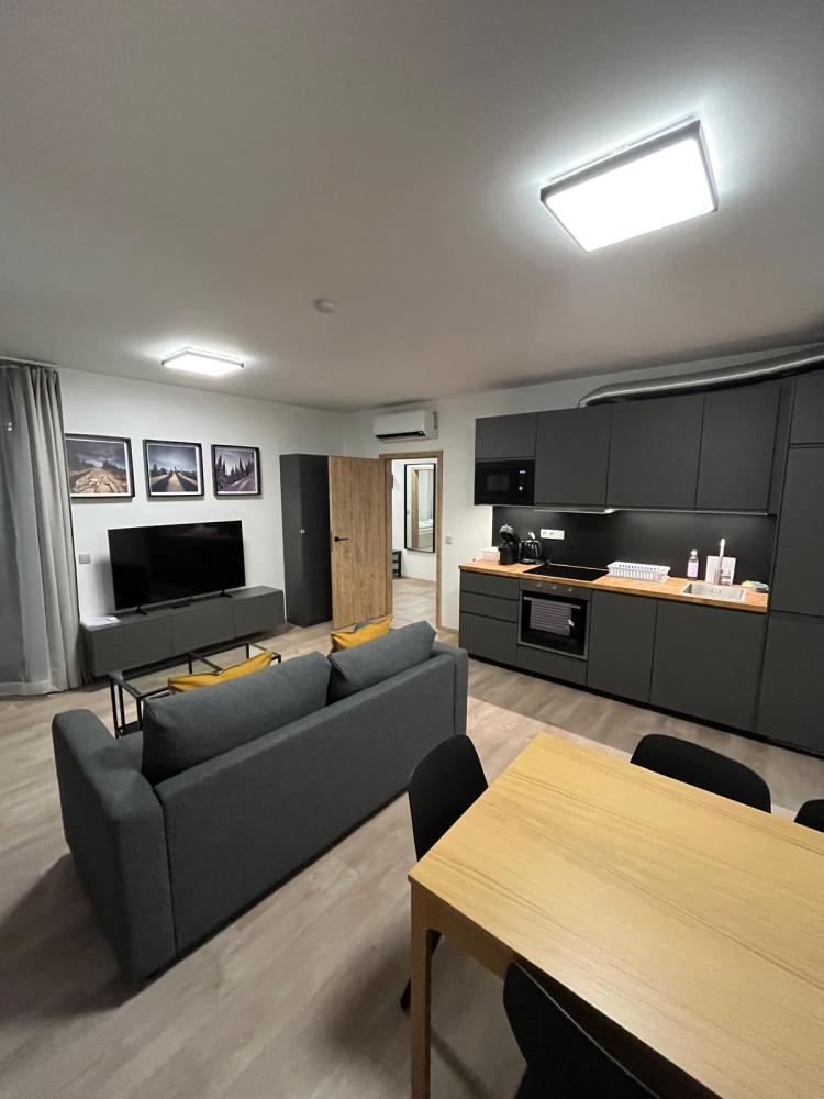 Apartment 2+kitchenette (206)