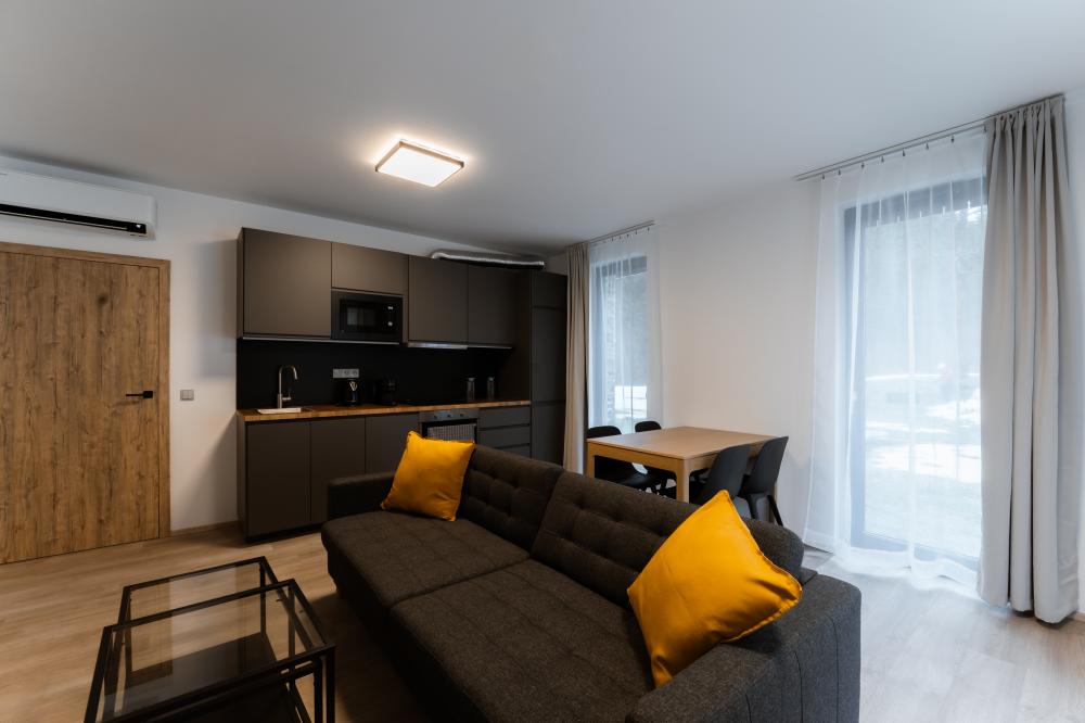 Apartment 3+kitchenette (106)