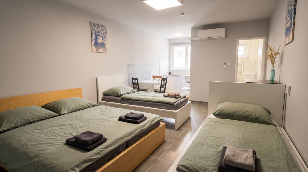 Apartment 16