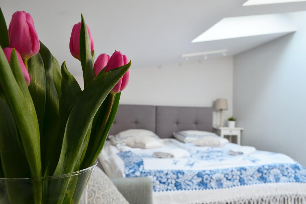 Zdjęcie apartamentu