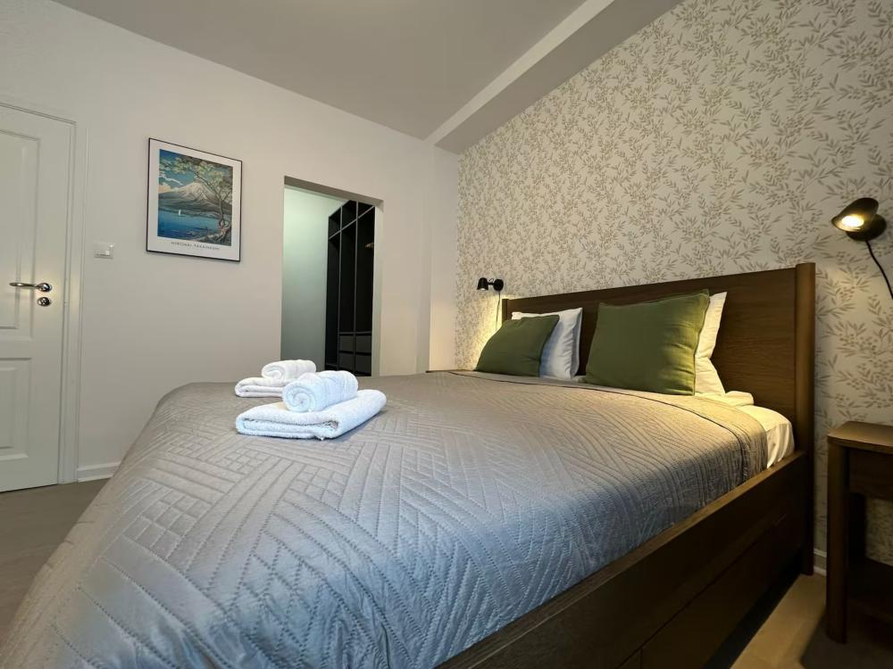 Luxury Apartment near City Center