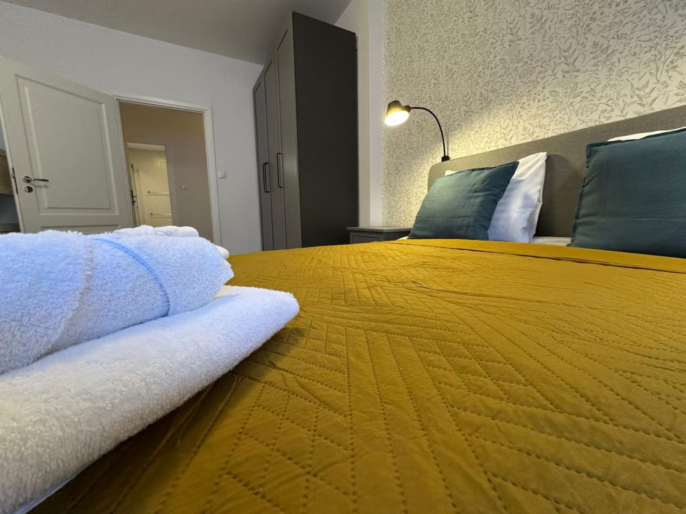 Luxury Apartment near City Center