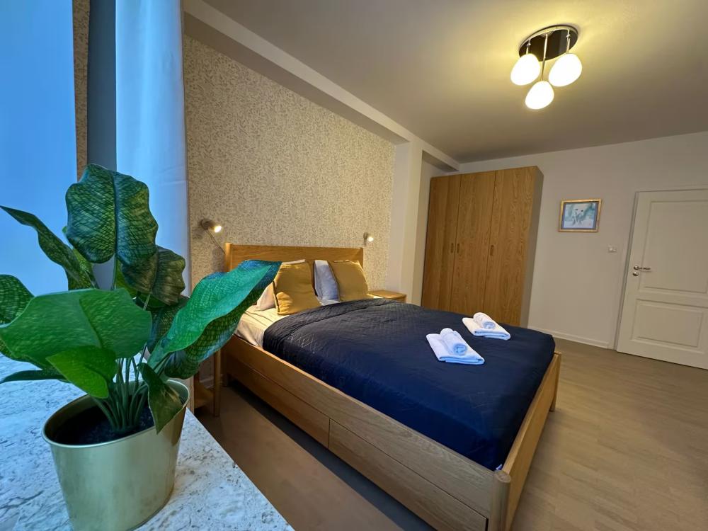 Luxury Apartment near City Center