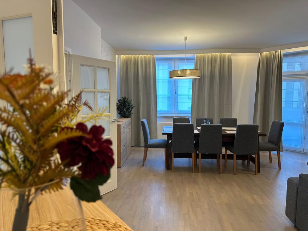 Luxury Apartment near City Center