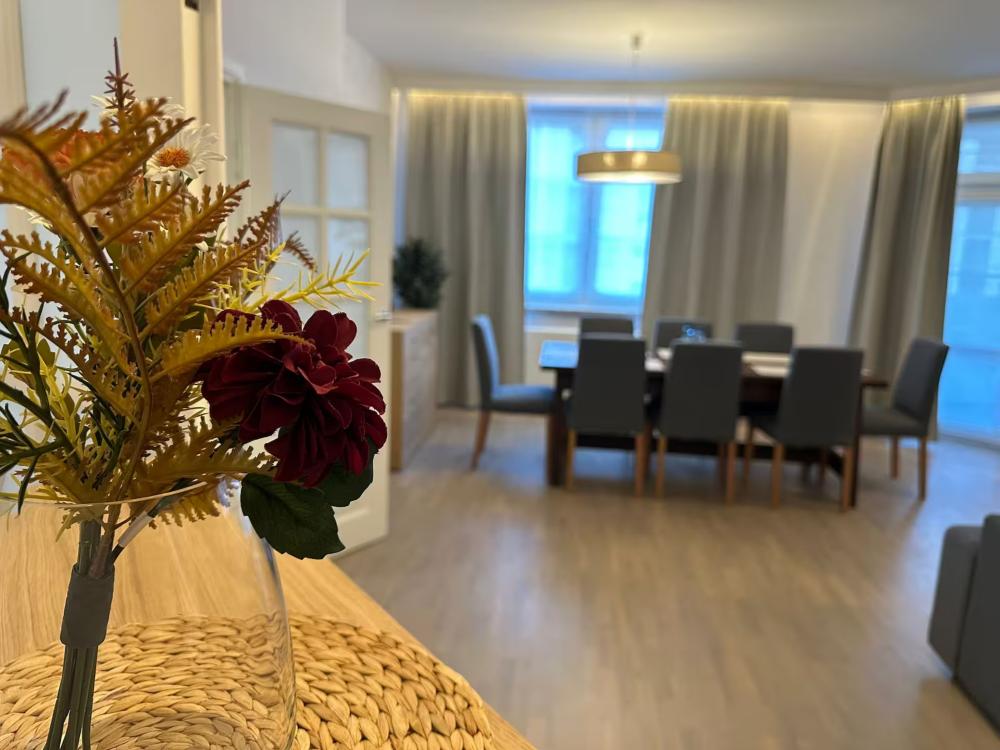 Luxury Apartment near City Center