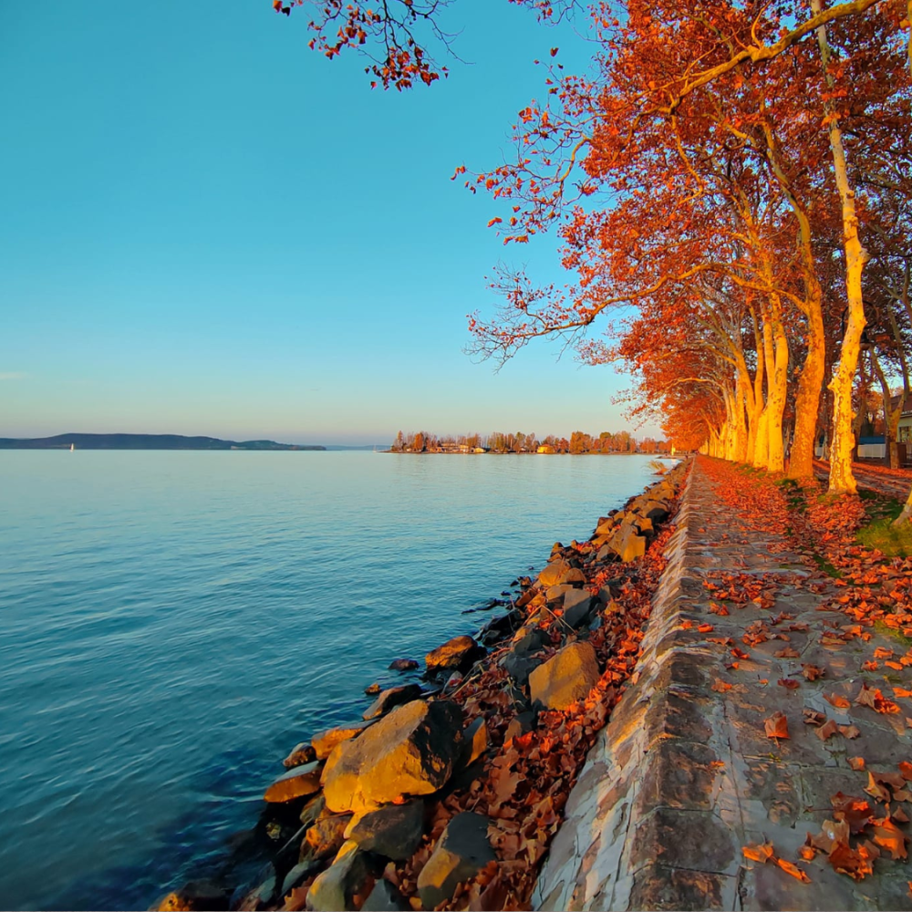 Balatonföldvári ősz 30% kedvezménnyel