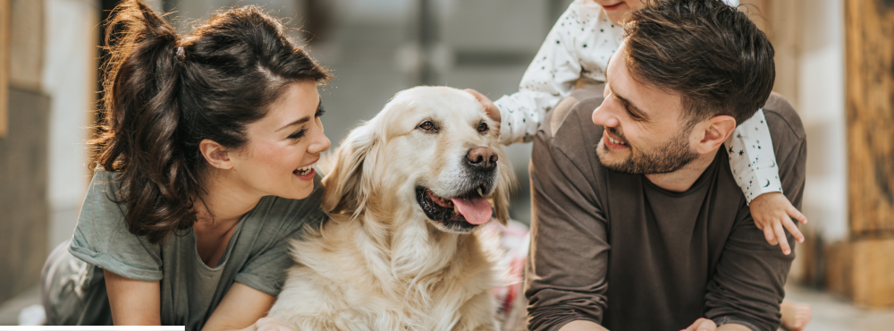 Mert együtt az igazi ! Ne hagyd otthon házi kedvencedet !