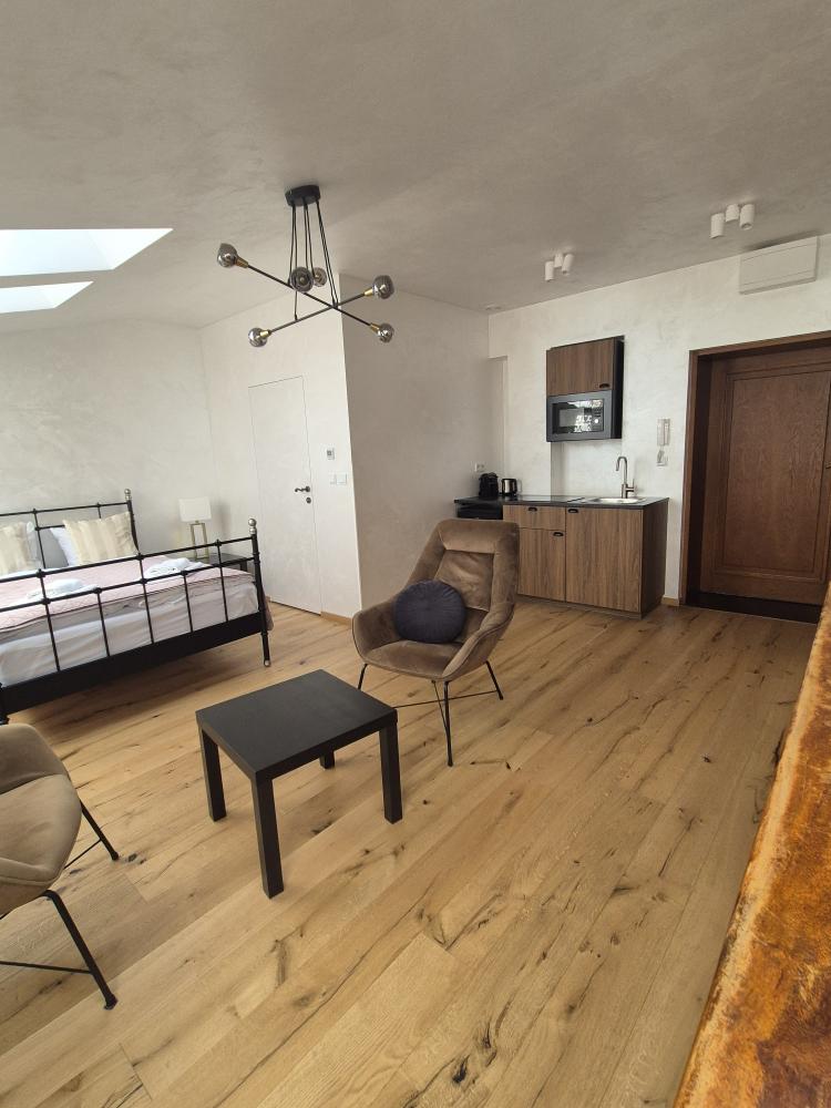 Apartament typu studio z łóżkiem podwójnym MIODOWA