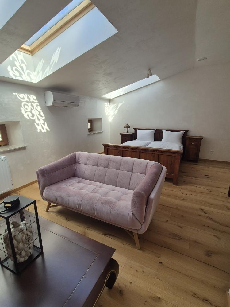 Apartament typu studio z łóżkiem podwójnym MIODOWA