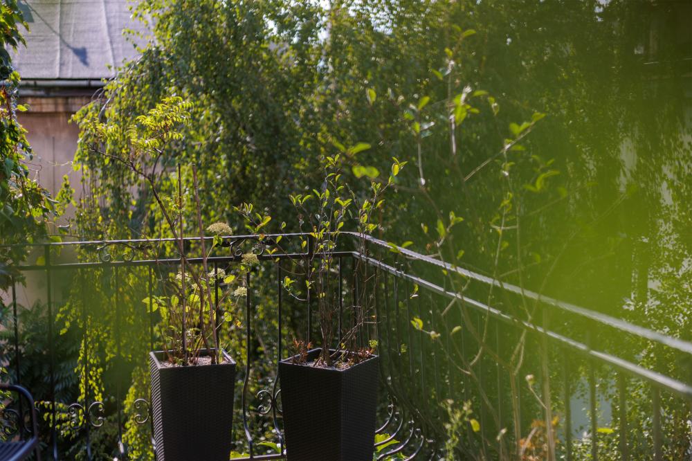 Apartament typu Suite z tarasem MIODOWA