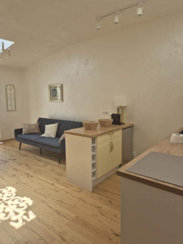 Apartament typu Superior z 1 sypialnią MIODOWA