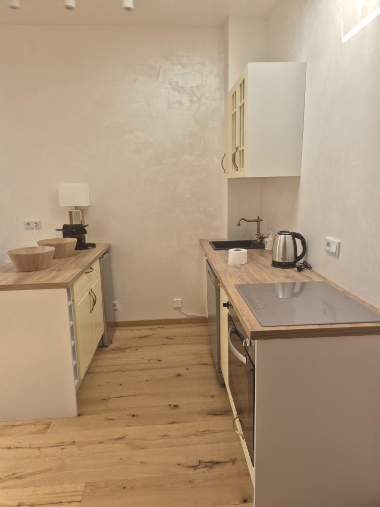 Apartament typu Superior z 1 sypialnią MIODOWA