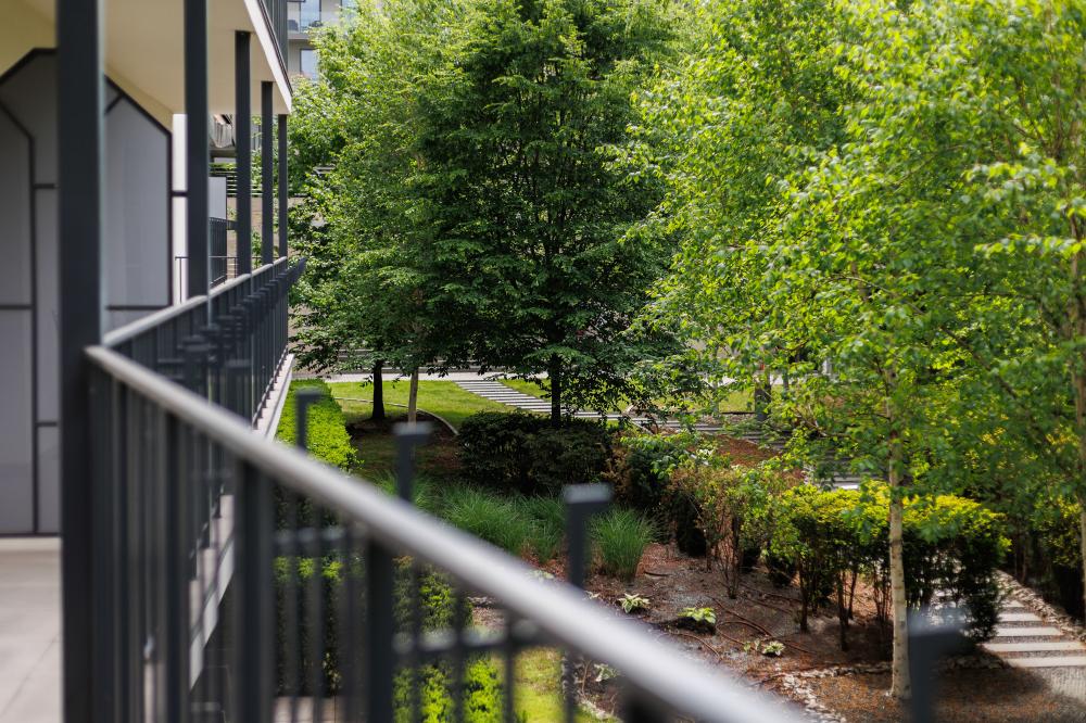 Apartament nr 17  SUKIENNICZA